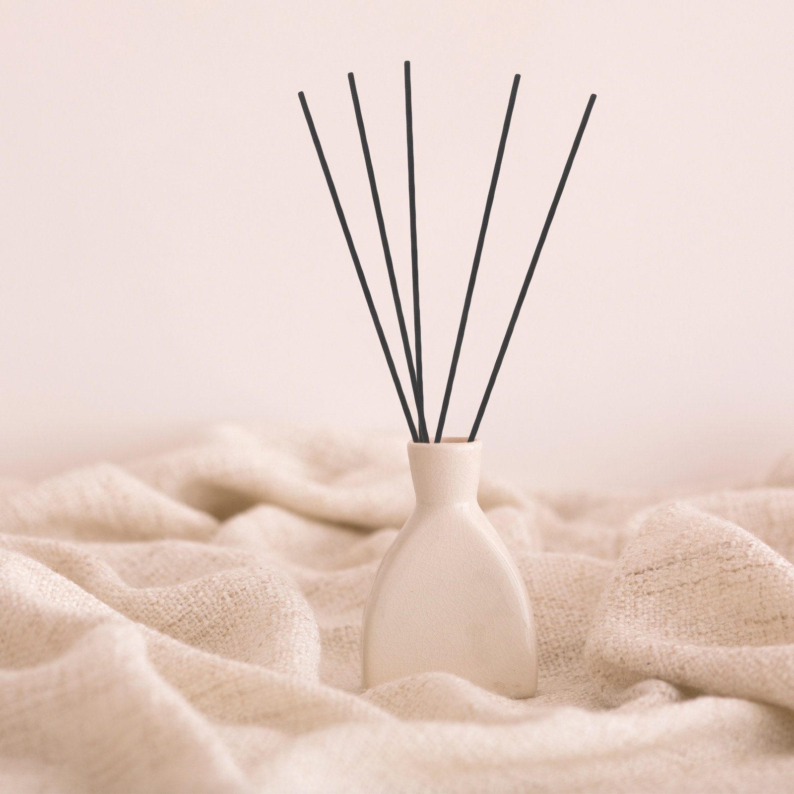 Home And You Fragrance Diffuser - 100개입 섬유 리드 디퓨저 스틱 블랙