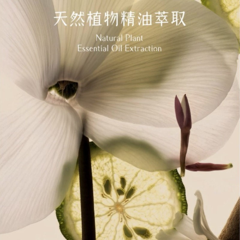 6종의 축복 아로마테라피 캔들 키트 (각 50g) -  - Home Fragrance Kit 리뷰 및 가격