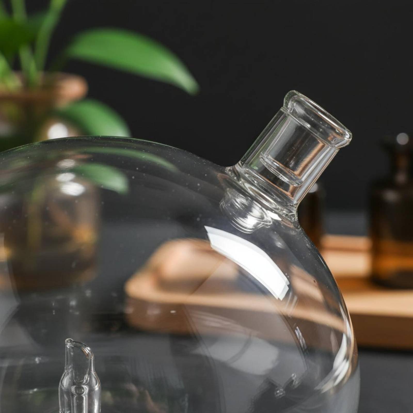 디퓨저 병 물이 없는 향수 디퓨저용 유니버설 핏 유리  - Home And You Fragrance Diffuser 리뷰 및 가격